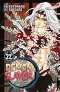 Demon slayer 22